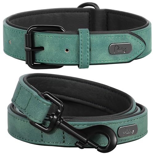 PU Leather Dog Collar and Leash Set (XL: Neck 17-23", Width 1¼" / Green Set)