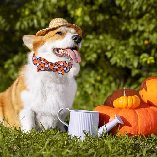 Halloween Day Dog Collar with Bow Bone Pumpkin Cotton Dog Collars for Small Medium Large Dogs (Extra Large / Bone pumpkin)
