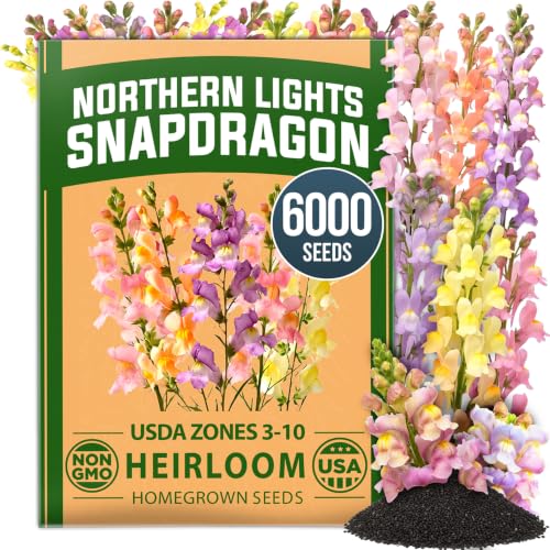 Northern Lights Snapdragon 6000 Flower Seeds Antirrhinum majus