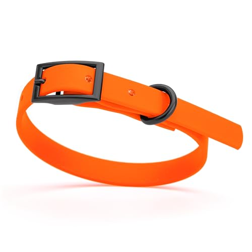 Biothane Waterproof Dog Collar Strong Coated Nylon Webbing with Black Hardware Odor (W1/2" x L9-12" / Hunter Orange)