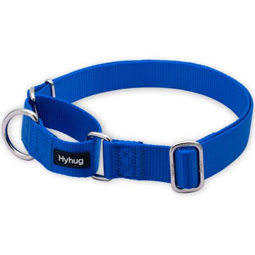 Martingale Collar for Dogs (XL / Bright Blue)