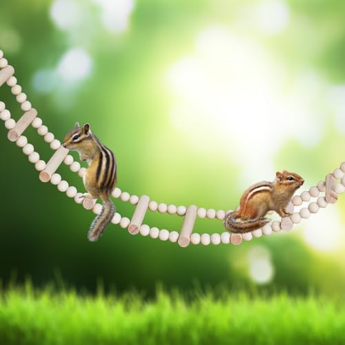 Long Bird Ladder with Wooden Rungs and Beads (yellow / 27.5×3.14 Inches)