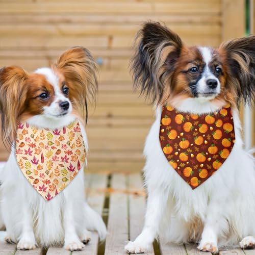 Fall Dog Bandana 2 Pack Funny Fall Holiday Dog Bandanas Halloween Thanksgiving Bandana for Dogs Lover Pet Scarf Accessories Pet Scarf for Small Medium Dogs & Cats (F)