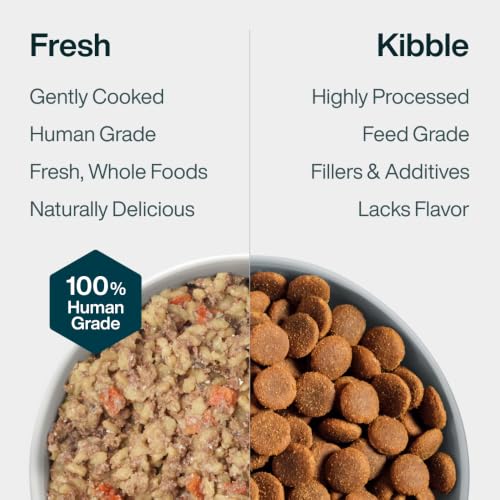 Pantry Fresh Wet Dog Food (12.5 Ounce (Pack of 12))