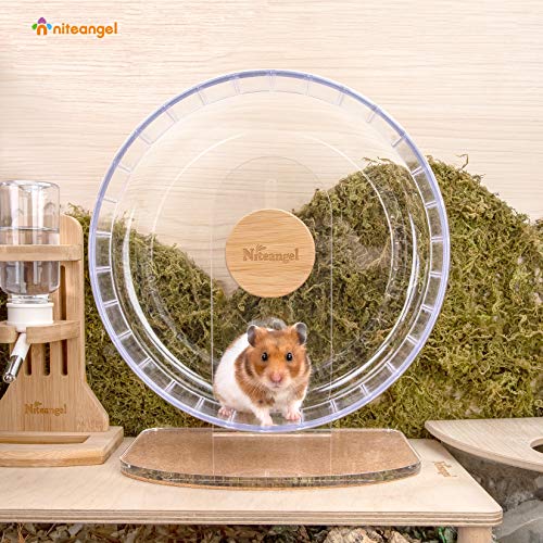Super Silent Hamster Exercise Wheels (Medium / Transparent)