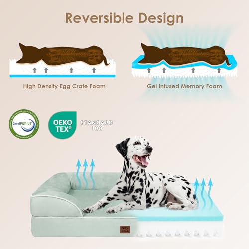 Orthopedic Large Dog Bed (Soft Sage Green / 35.0"l X 22.0"w X 6.5"th)