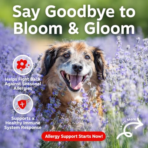 Senior Dog Allergy Chews (90 Count (Pack of 1) - Advanced)