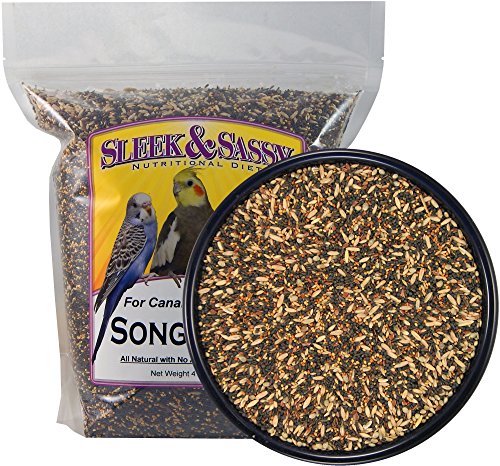 Song Bird Treat for Finches and Canaries (4 Pound (Pack of 1))