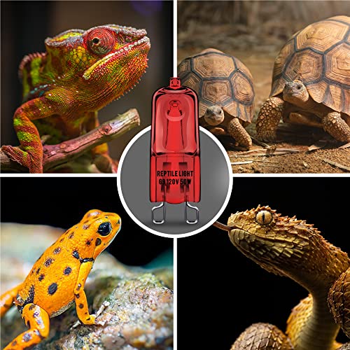 G9 Infrared Heat Lamp Bulbs for Reptile Mini Reptile Light Red (Red Bulb / 2 Pack)
