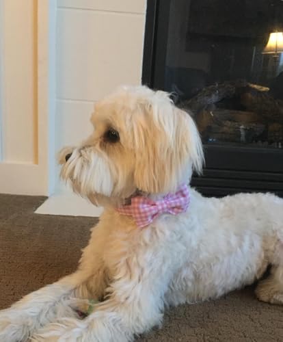 Dog Collar with Bowtie (Pink Grid / Medium (Pack of 1))