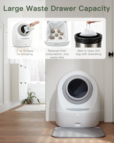 Casa Leo Automatic Self Cleaning Cat Litter Box Bundle with App Control (Leo Gray)