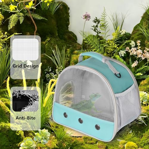 Guinea Pig Carrier (Green)