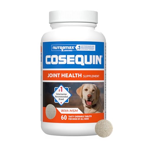 Nutramax Cosequin Joint Supplement (60 count / MSM)