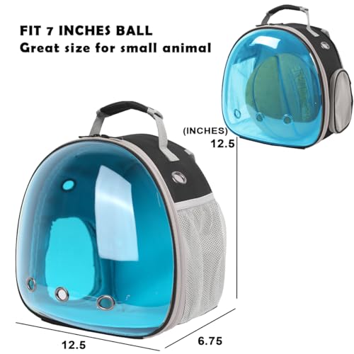Bearded Dragon Travel Backpack with Harness and Leash Set (Black/Blue)