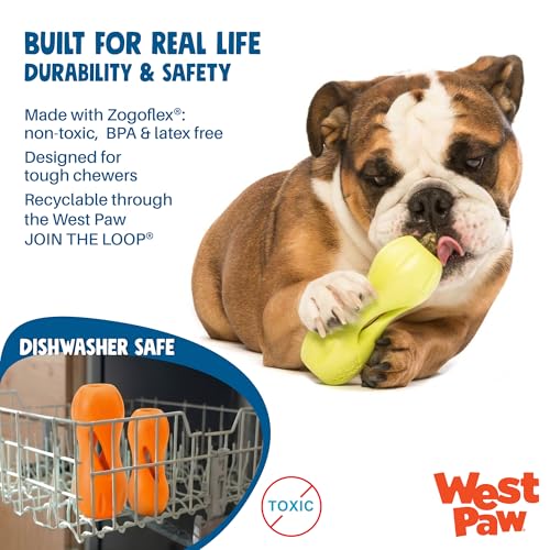 Qwizl Durable Zogoflex Dog Puzzle Toy for Mental Stimulation (Small / Aqua Blue)