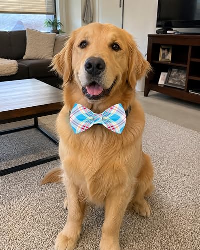 10 Pack Plaid Dog Bowties for Large Dogs Sliding on Collar (M/L)