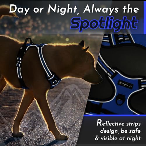 Dog Harness for Large Dogs (Large / Blue)