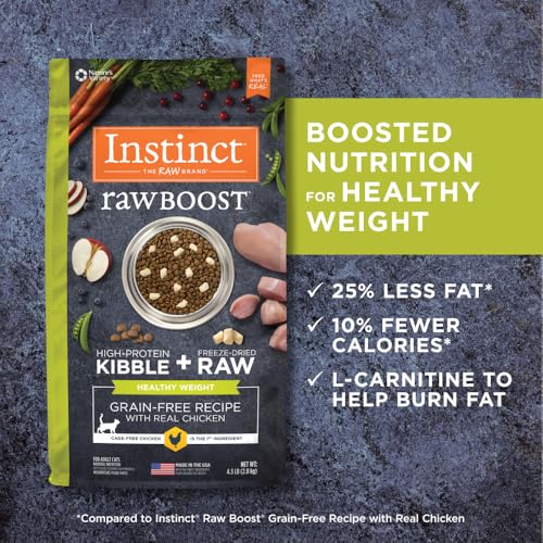 RawBoost Healthy Weight (4.5 Pound (Pack of 1))