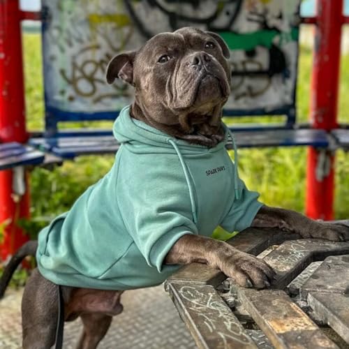 Dog Hoodie Buttery (Teal / 3XL)