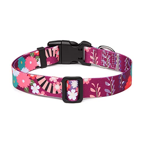 Adjustable Dog Collar (Small / Colorful Flower)