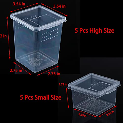 10 Pack Spider Terrariums Breeding Box Small Reptile Hatching Container Acrylic Feeding Box for Arboreal Spider Tarantula Mantis Scorpion Centipede Insect