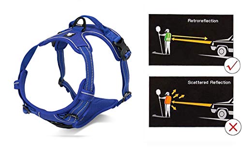 Truelove No Pull Dog Harness with Easy Control Handle and 2 Leash Attachments (X-Large / Royal Blue)