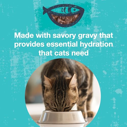 Poké Bowl Cat Variety Pack (3 Ounce (Pack of 24))