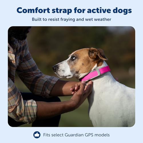 Guardian GPS + Tracking Dog Fence Replacement Collar Strap (Pink / Replacement Strap)