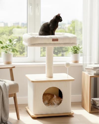 Small Cat Tree for Indoor Kittens (Ash Wood Finish / Small)