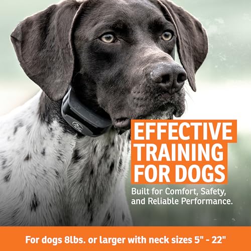 SportHunter 825X Remote Dog Trainer (SportHunter 825X - 1 Collar)
