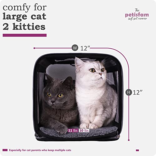 Soft Pet Carrier for Large and Medium Cats (Viva Magenta)