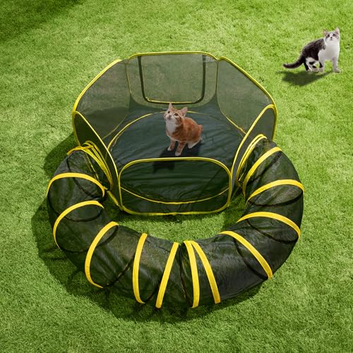 Outdoor Cat Enclosure 2 (Small)
