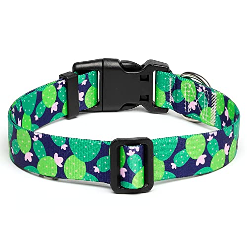 Adjustable Dog Collar (Extra Small / Cactus)