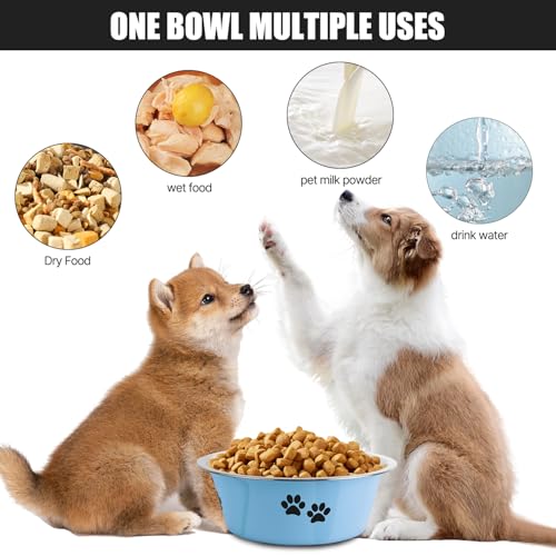 Stainless Steel Dog Bowls (Blue / 6.6 Cups/53 OZ)