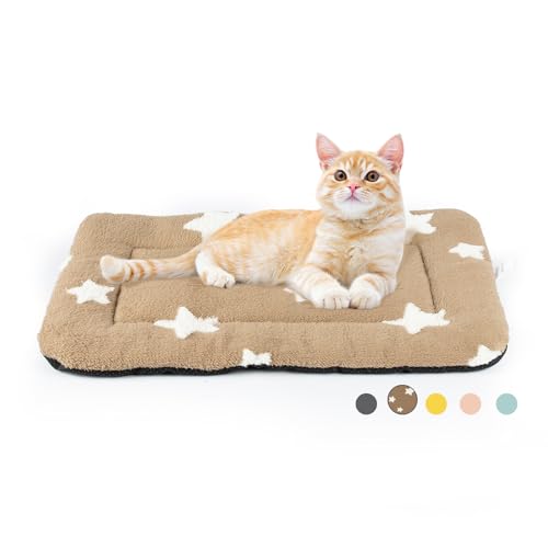 Cat Beds for Indoor Cats Washable Cat Mat Bed Flat Dog Crate Pad (22''L x 13''W x 1.5''Th / Brown)