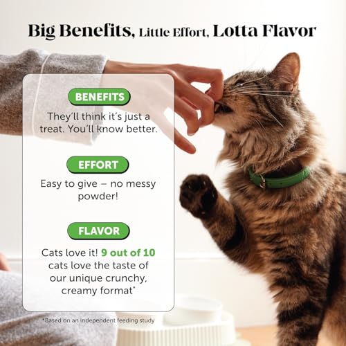 Vet Backed Cat Hairball Remedy Chews (30-Day Supply)