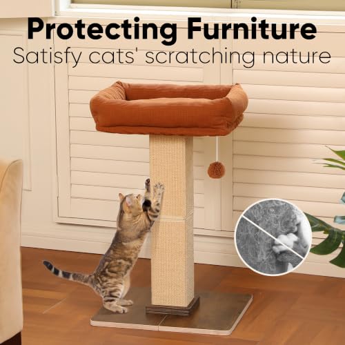 Retro Style Cat Scratching Post with Perch for Indoor Adult Cats (Brown)