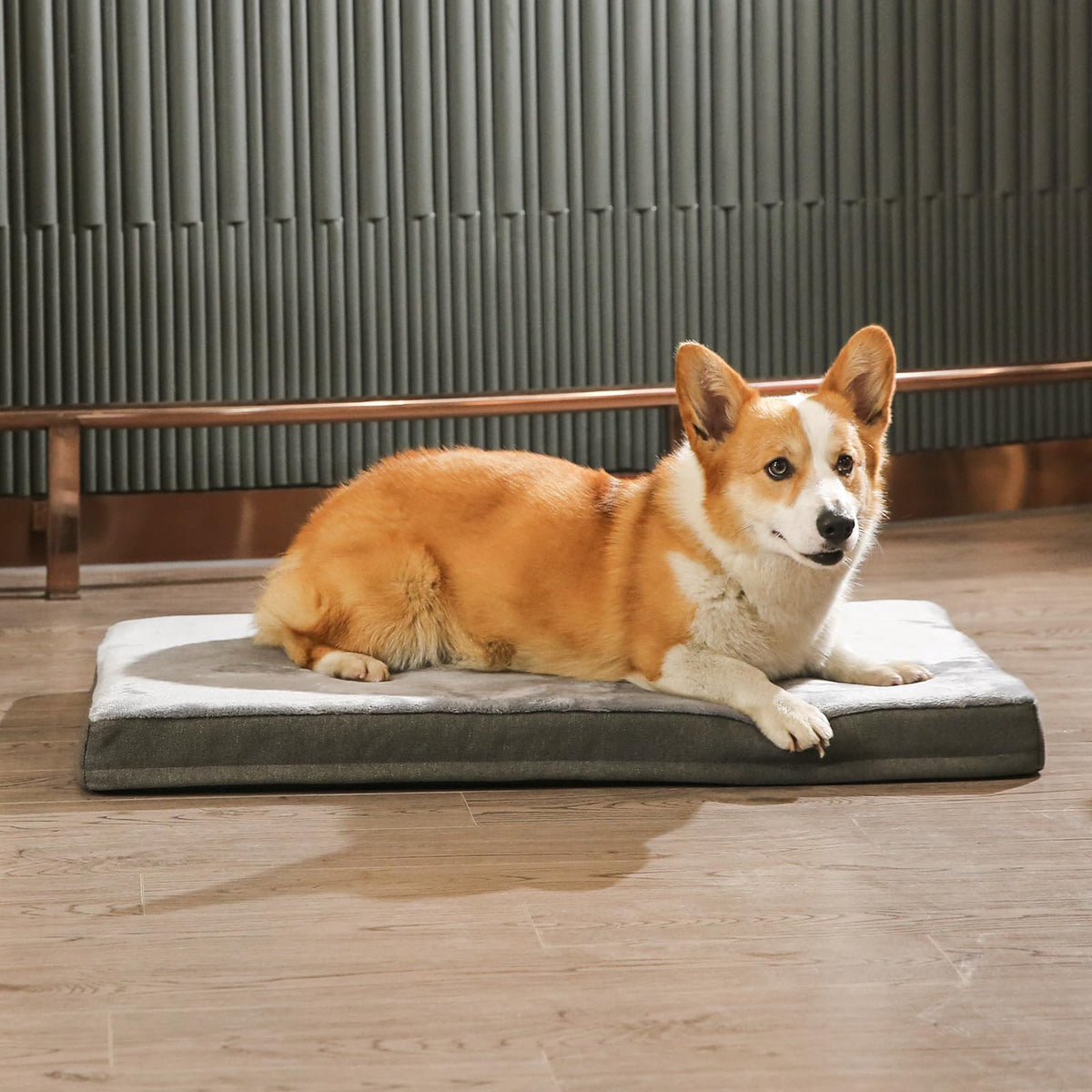 Washable Dog Bed with Cooling Gel Memory Foam (Mattress Bed / Large / Grey)