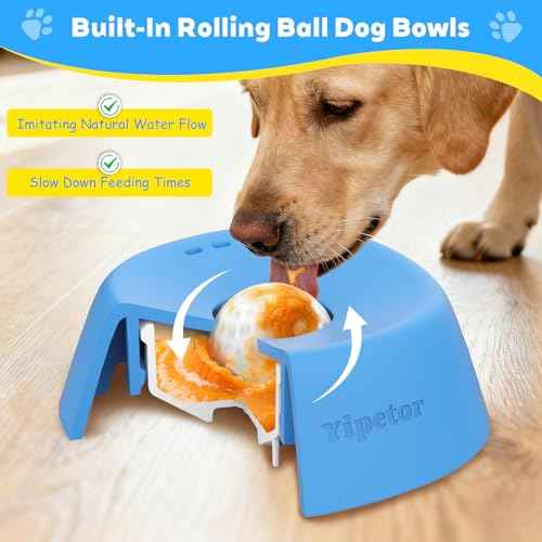 Dog Lick Bowl (blue / Medium)