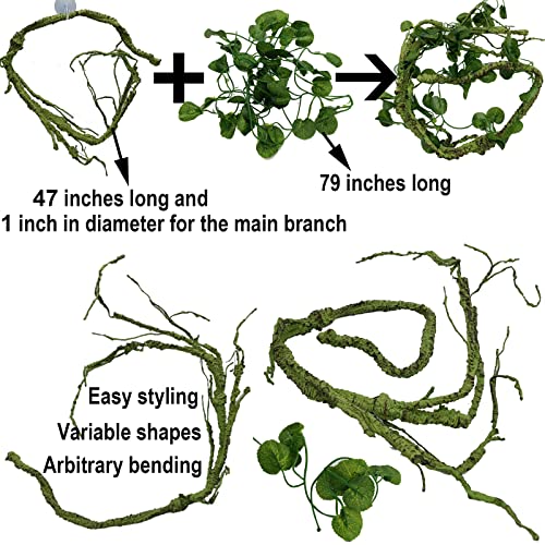 Reptile Plants for Bearded Dragon Tank Accessories (Group Bpn)