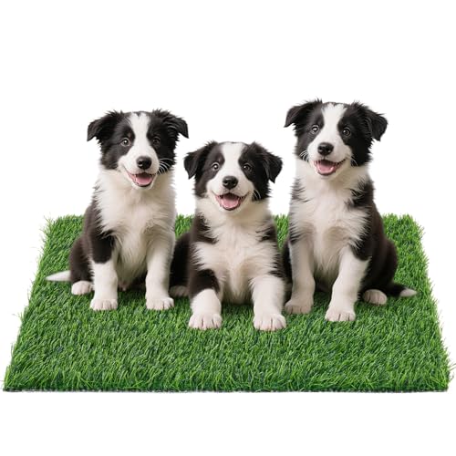 Replacement Artificial Grass Pee Pads for Dogs Potty Training to Pee & Poop (XL-39"X24.4")