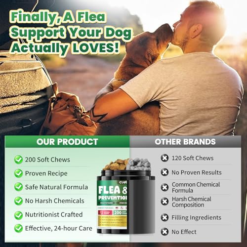 Flea and Tick Prevention for Dogs