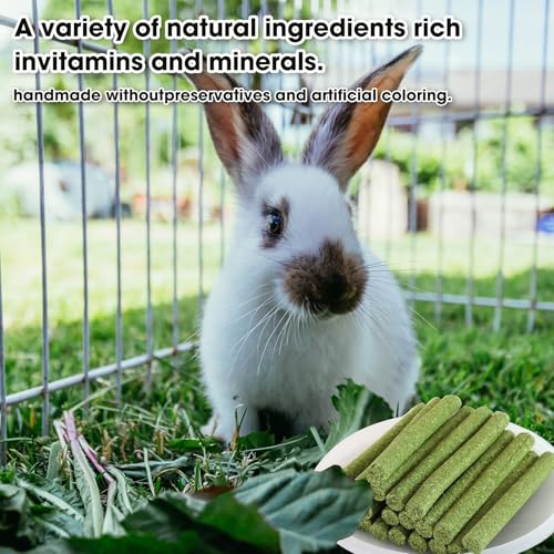 45 PCS Timothy Hay Sticks for Rabbits Natural Molar Teeth Stick Chew Toys for Bunnies Chinchillas Guinea Pigs Hamsters and Other Small Animals Treats (0.27 Ounce (Pack of 45))