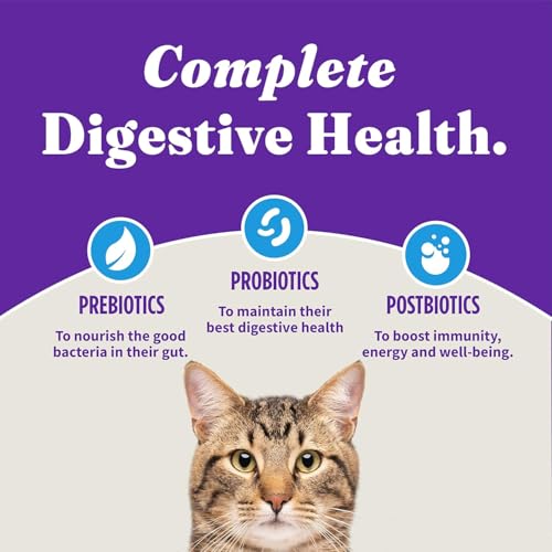 Holistic Dry Cat Food