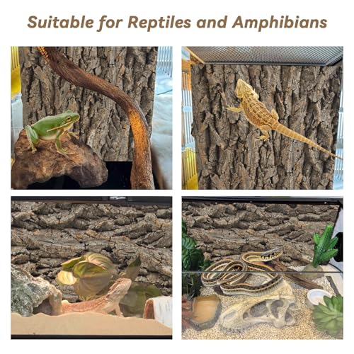 2PCS Reptile Background for Terrarium (【2 PCS】)