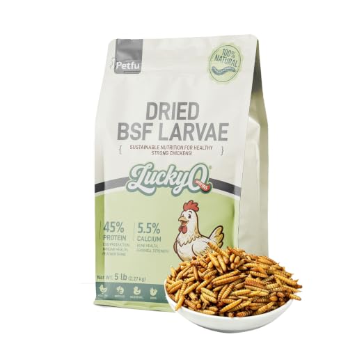 5lb Dried Black Soldier Fly Larvae for Chickens Hens High Protein Duck Food (5 Pound (Pack of 1))