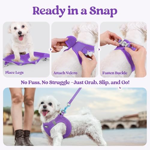 Dog Harness Small Sized and Leash Set (Purple / S (chest: 15.1 - 16.5"))
