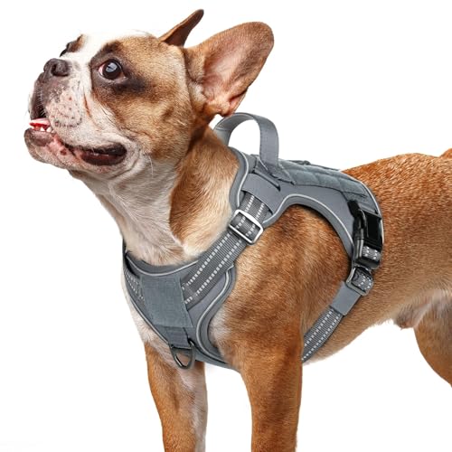 Tactical Dog Harness for Small Dogs (S(Chest:16.1"-31.5",Neck:15.4"-21.6",Back:7.1") / Grey)