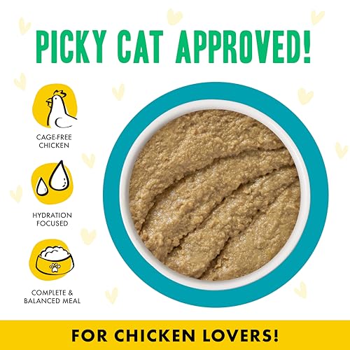 B.F.F. Play Best Feline Friend Paté Lovers (2.8 Ounce (Pack of 12))
