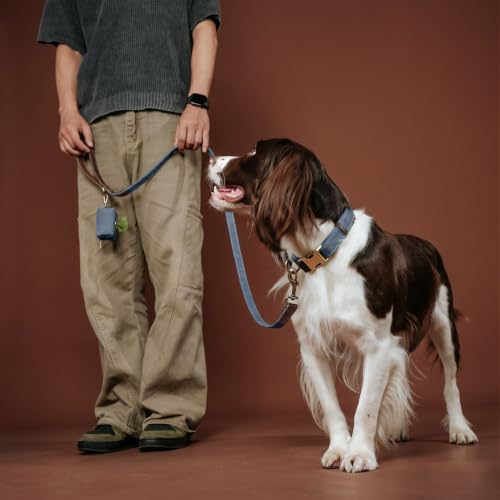 PU Leather Dog Collar for Large Dogs (Blue / L: Neck 16-23", Width 1")